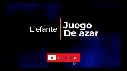 hoje notícia 