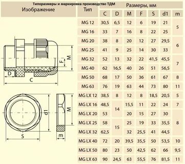 https br bet buzz 