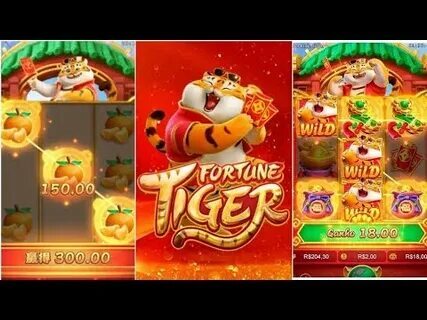 slots 14 